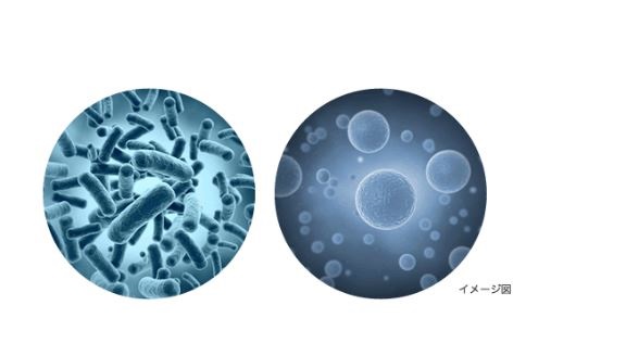 風呂水の雑菌のイメージ図