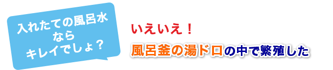 病原菌が潜んでいます