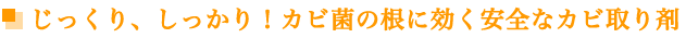じっくり、しっかり！カビ菌の根に効く安全なカビ取り剤