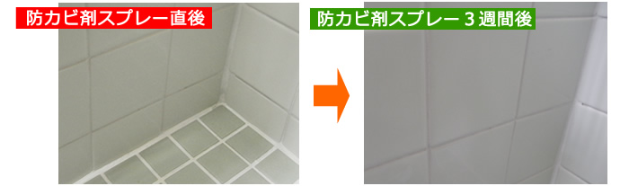 防カビ剤スプレー直後と３週間後