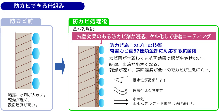 防カビでできる仕組み
