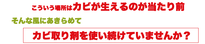 こういう場所はカビが生えるのが当たり前。そんな風にあきらめてカビ取り剤を使い続けていませんか？
