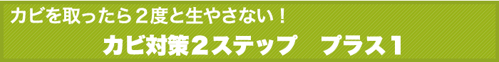 カビを取ったら2度と生やさない！カビ対策２ステップ　プラス１